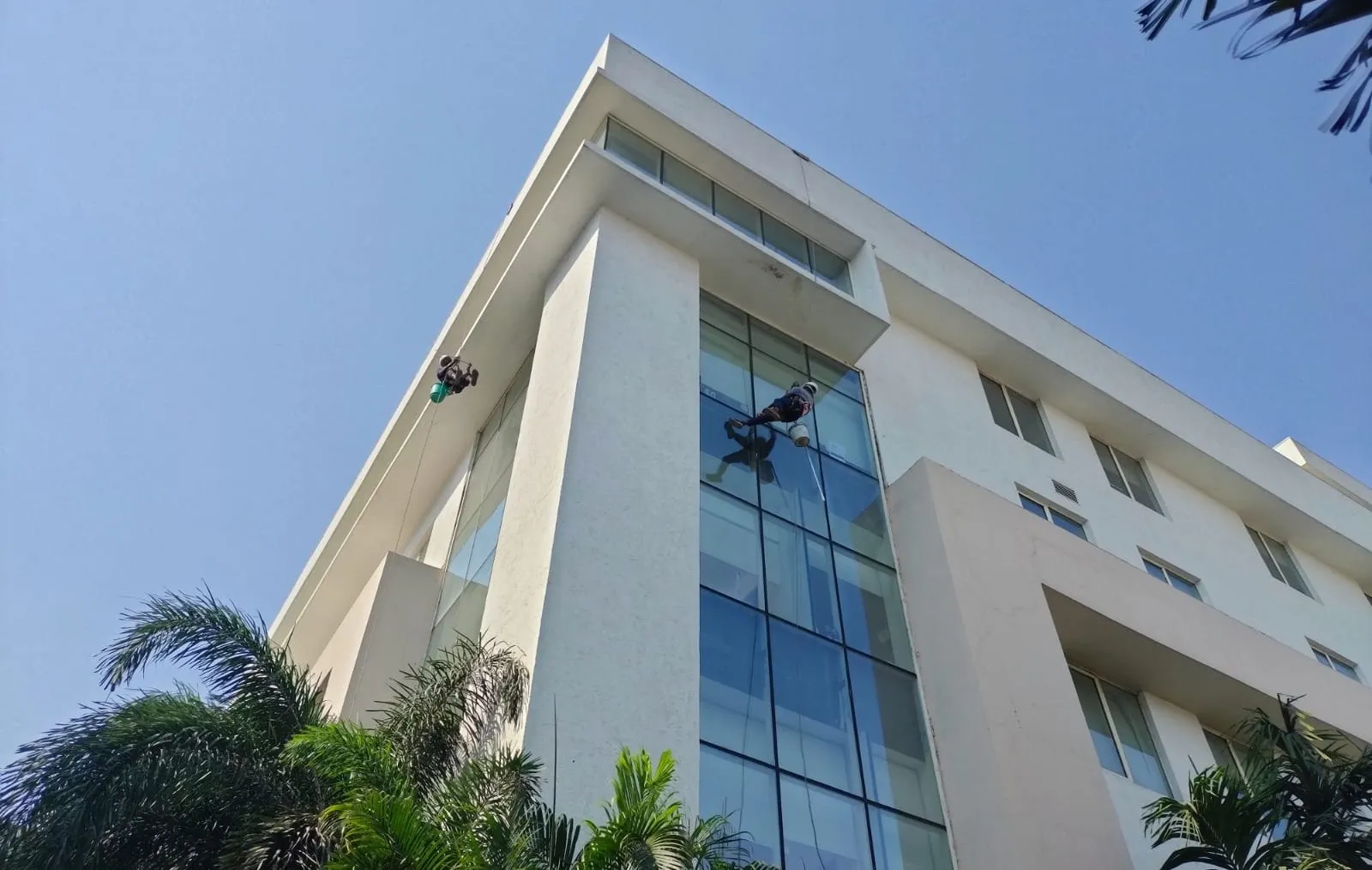 Best Cleaning Services in Raipur, Chhattisgarh | Sparkle n Shine Cleaning Services | Sparkle n Shine Cleaning Services (Floor, Sofa, Carpet, Housekeeping – Sparkle n Shine Cleaning Services)